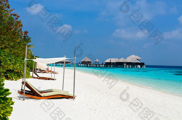 美丽的热带海滩异国情调的岛马尔代夫