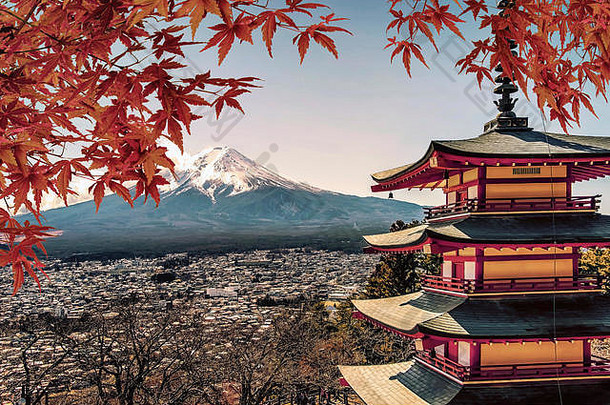 著名的的地方日本Chureito宝塔山富士日落