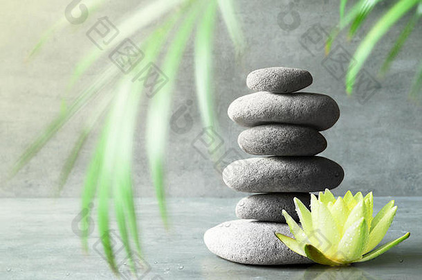 石头平衡黄色的花莲花绿色棕榈叶Zen水疗中心概念