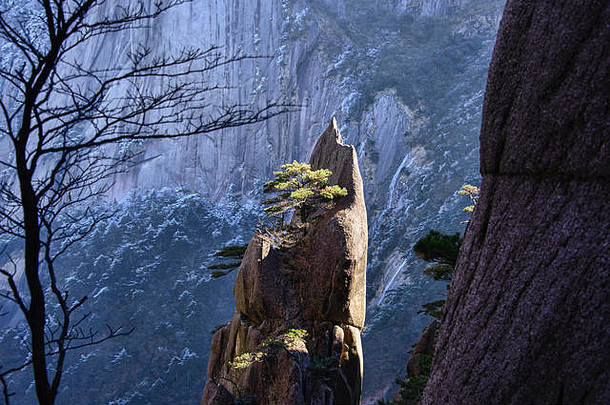 树花岗岩线圈黄山国家公园安徽中国