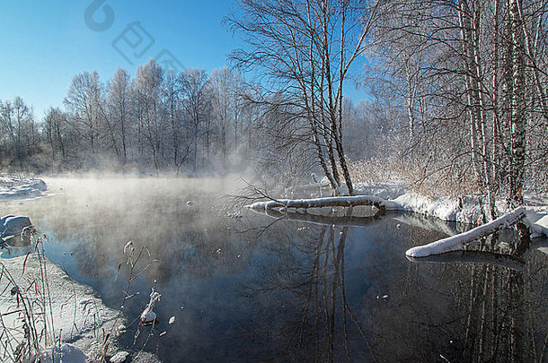 冬天风景阿尔泰西伯利亚俄罗斯联合会