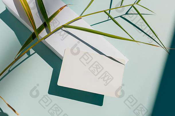 空白个人卡文具原型自然阳光植物阴影软蓝色的背景