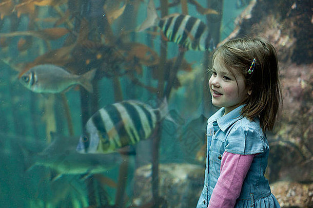 年轻的女孩享受热带鱼水族馆