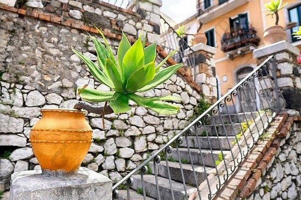 龙舌兰植物粘土锅装修古老的街道陶尔米纳城市西西里意大利