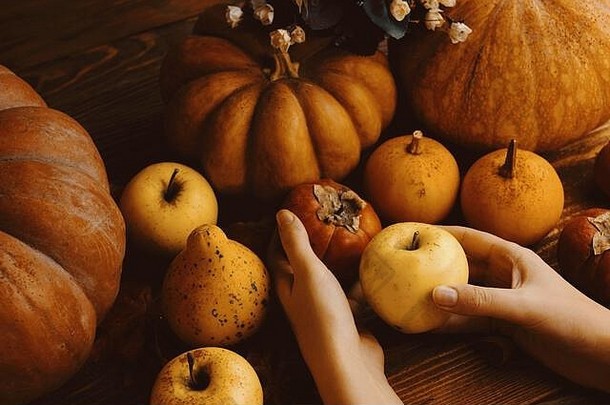 群南瓜苹果收获感恩节背景秋天的水果葫芦乡村木表格