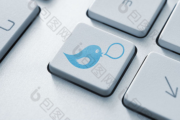 蓝色的鸟演讲泡沫键盘按钮社会媒体概念