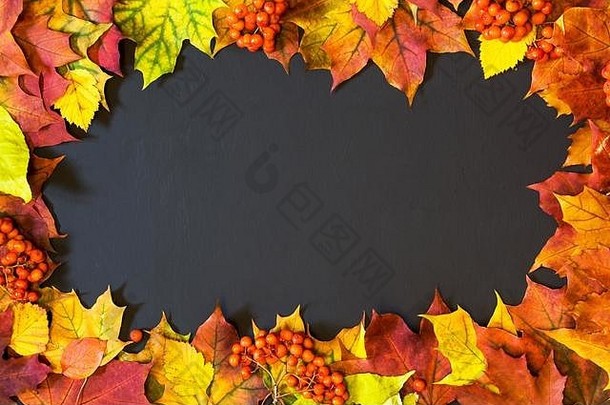 秋天主题背景枫木叶子黑色的复制空间