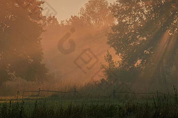 树森林多雾的早....村网络横幅设计