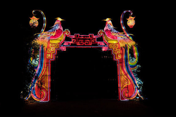 rhenen荷兰12月中国人光节日动物园手荷兰中国人光节日显示世界中国人文化开始一年