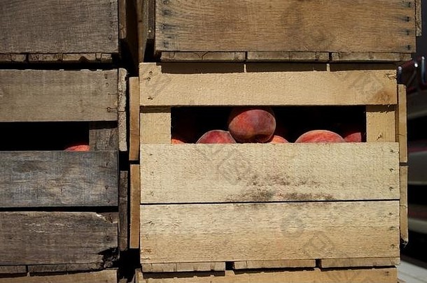 用板条箱包装的桃子农民的市场