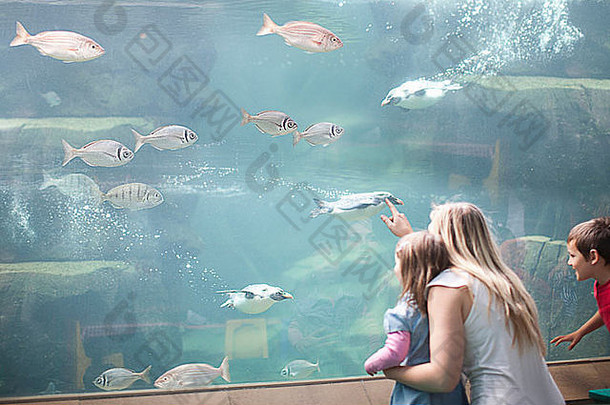 年轻的妈妈。孩子们看企鹅潜水水族馆