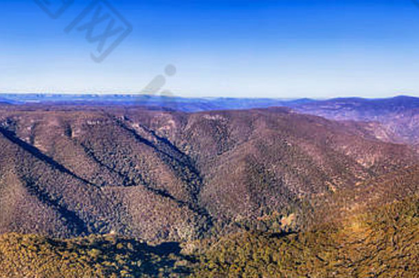 宽空中考虑到蓝色的山范围覆盖常绿桉树森林高山阳光明媚的一天蓝色的天空著名的澳大利亚
