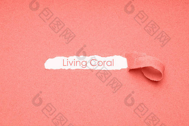 生活珊瑚颜色一年纸纹理背景