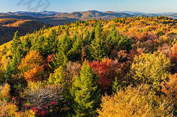 色彩斑斓的秋天全景视图北云杉西山哈德利山火塔阿迪朗达克