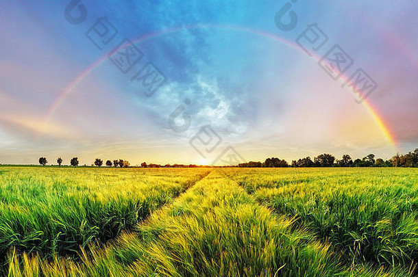 彩虹农村景观小麦场日落
