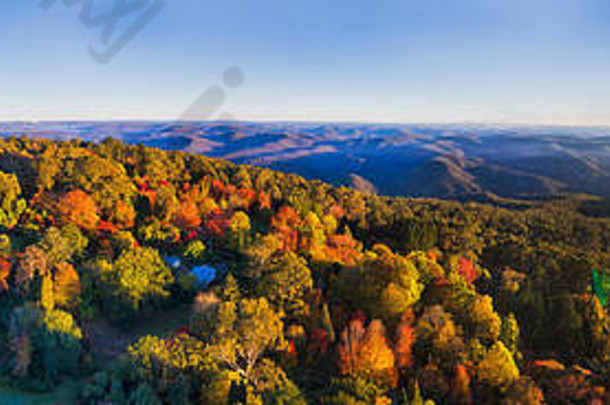 宽空中全景山威尔逊小镇蓝色的山高秋天季节明亮的色彩鲜艳的树叶子颜色