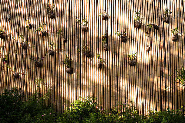 有创意的盆栽花竹子墙