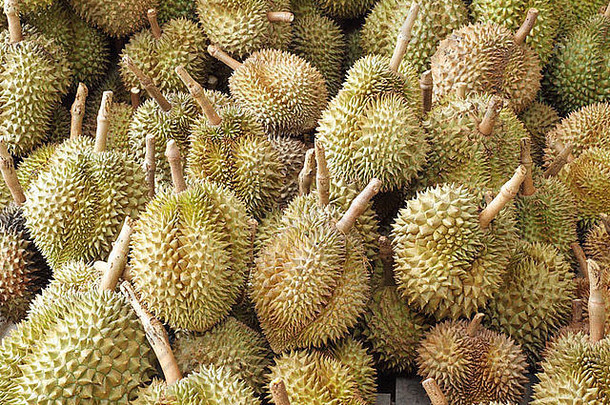 榴莲王水果著名的水果泰国