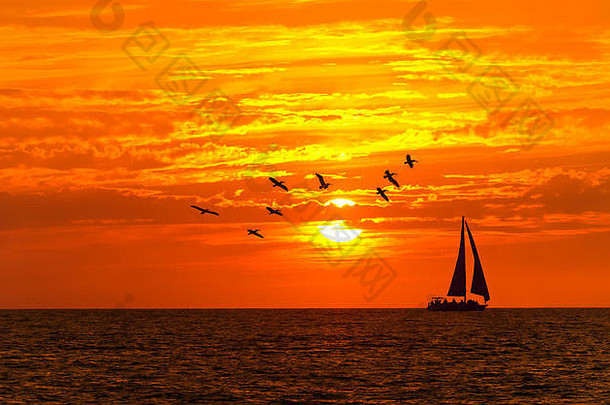 海洋日落帆船鸟帆船航行海洋水日落大群轮廓鸟关闭