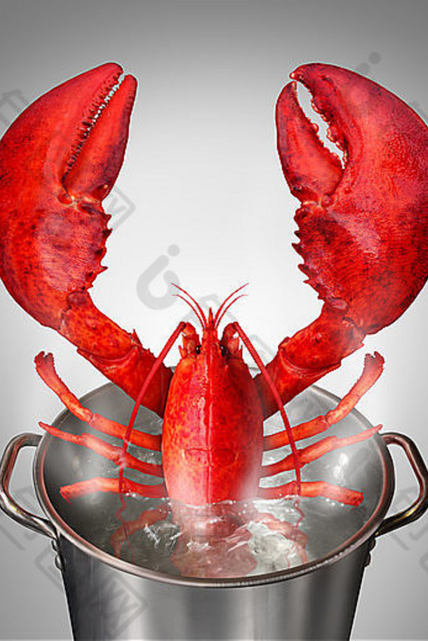龙虾能新鲜的抓一天煮熟的红色的甲壳纲动物坚持烹饪水壶沸腾水海鲜象征细餐厅餐厅餐