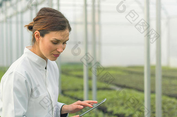 温室<strong>幼苗</strong>增长女农业工程师平板电脑