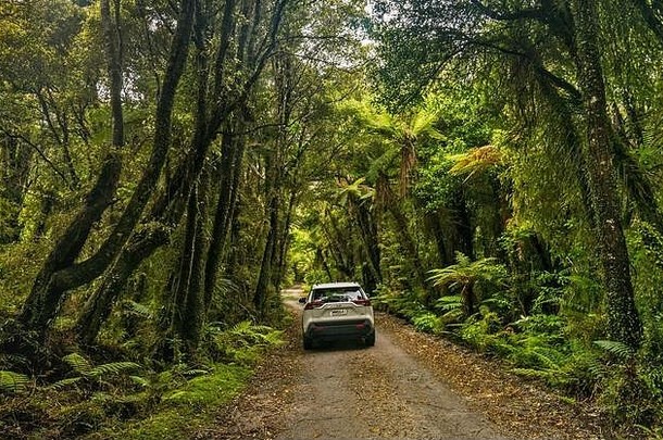 路湖弱普阿风景优美的储备本地的布什小镇霍基蒂卡西海岸地区南岛新西兰