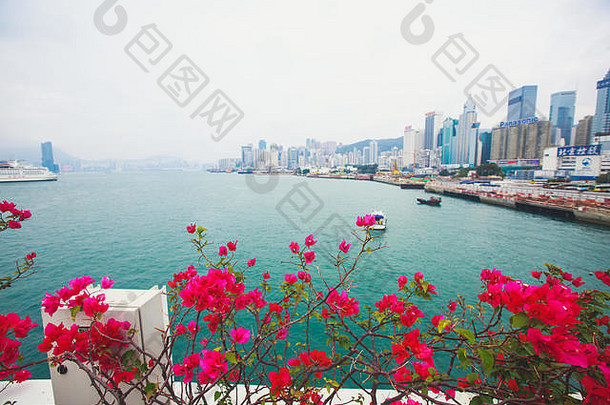 美丽的超级广角夏天空中视图视图在香港香港岛天际线维多利亚湾港摩天大楼九龙维多利亚峰