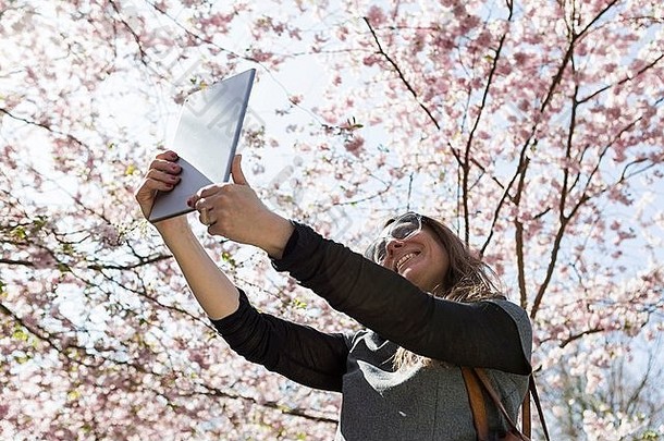 成熟的女人采取数字平板电脑自拍前面樱桃开花