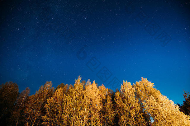 晚上布满星星的天空秋天树森林发光的星星森林