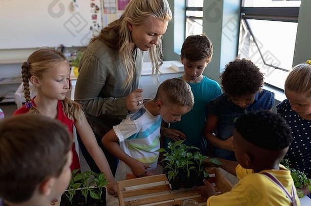 女老师盒子植物自然研究教训小学学校教室