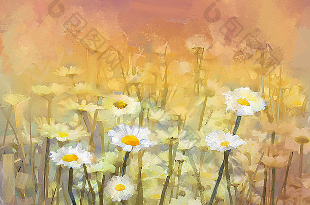 石油绘画daisy-chamomile花场日出古董花白色花黛西草地春天季节背景