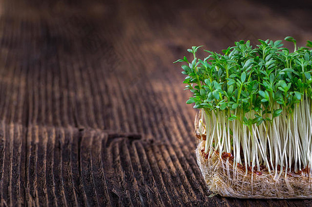 新鲜的水芹发芽准备好了沙拉健康的素食者食物新鲜的草本植物