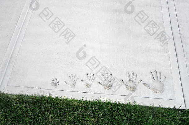 家庭照片手打印包括宠物狗湿水泥硬