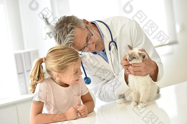 孩子看猫兽医