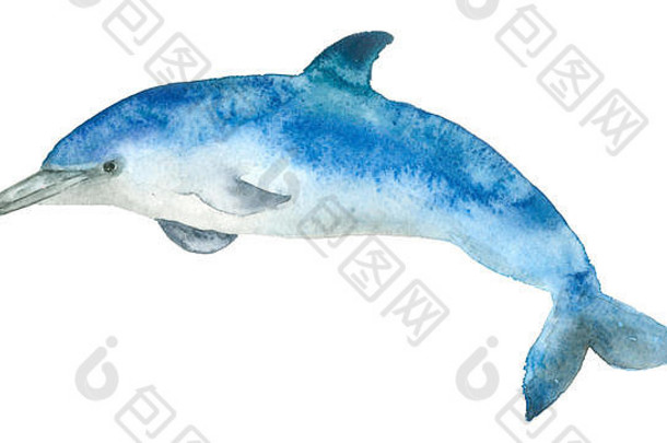 水彩蓝色的海豚