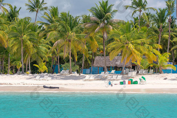 海滩加勒比岛saona多米尼加共和国