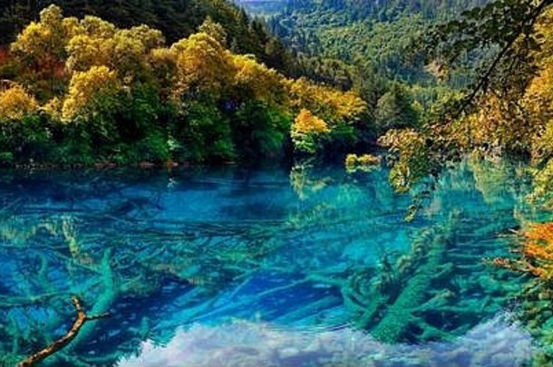 视图色彩斑斓的湖九寨沟国家公园四川中国
