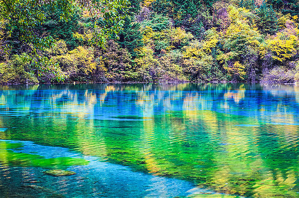 色彩斑斓的湖九寨沟谷
