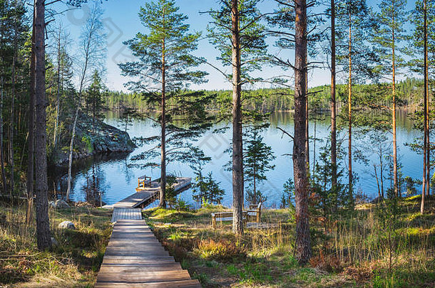 田园森林景观码头阳光温暖的夏天一天芬兰