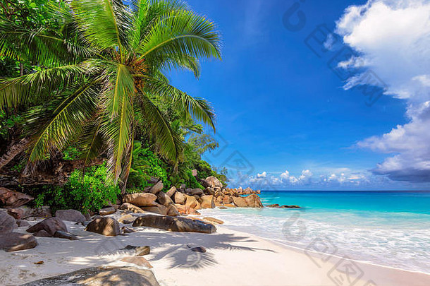 普拉兰岛热带海滩棕榈树岩石塞舌尔