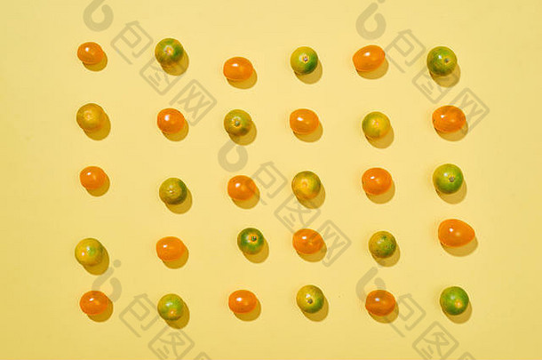 无缝的模式西红柿四季橘柑橘类microcarpa摘要背景番茄黄色的背景