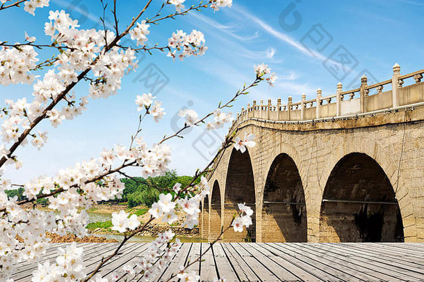 中国人经典传统拱形<strong>桥</strong>春天景观