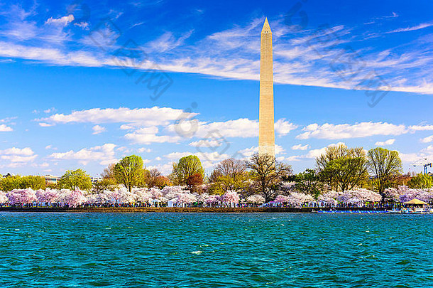 华盛顿美国潮汐盆地华盛顿纪念碑春天季节