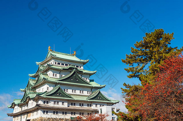 名古屋日本城堡秋天
