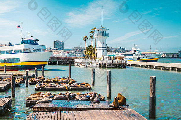 美丽的视图历史<strong>码头</strong>著名的海狮子夏天渔人<strong>码头</strong>区中央三旧金山加州美国