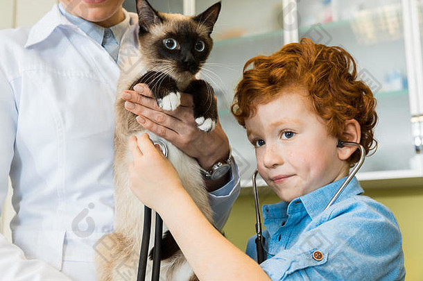 医生可爱的<strong>红色</strong>的头发的男孩听诊猫听诊器