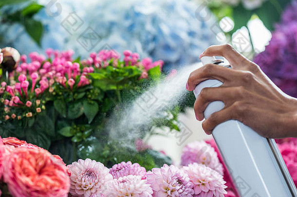 特写镜头部分视图花店喷涂美丽的花花商店