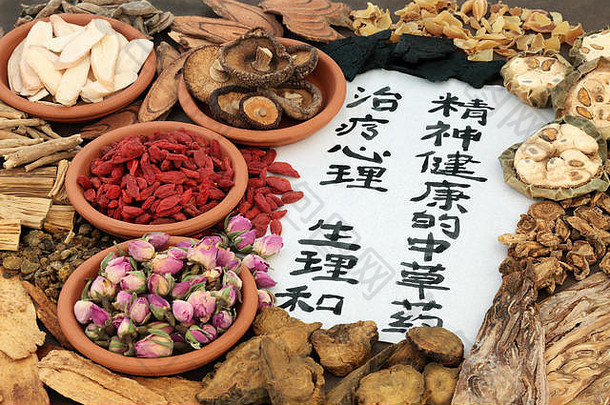 中国人草本植物替代Herbal医学书法脚本大米纸