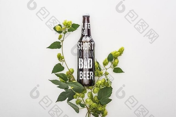 前视图啤酒瓶生活短喝坏啤酒刻字绿色盛开的跳白色背景