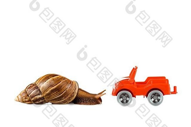 虚伪的棕色（的）蜗牛红色的玩具车孤立的白色